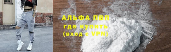 сатива Кукмор