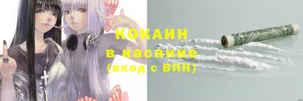 сатива Кукмор