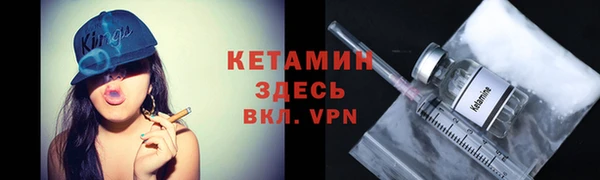 сатива Кукмор