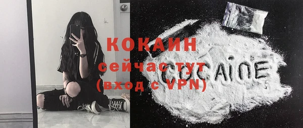 сатива Кукмор
