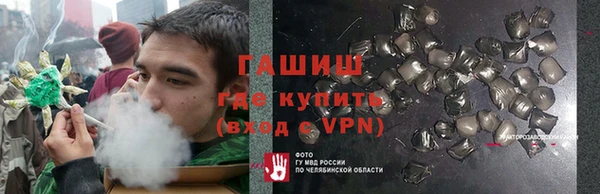 сатива Кукмор